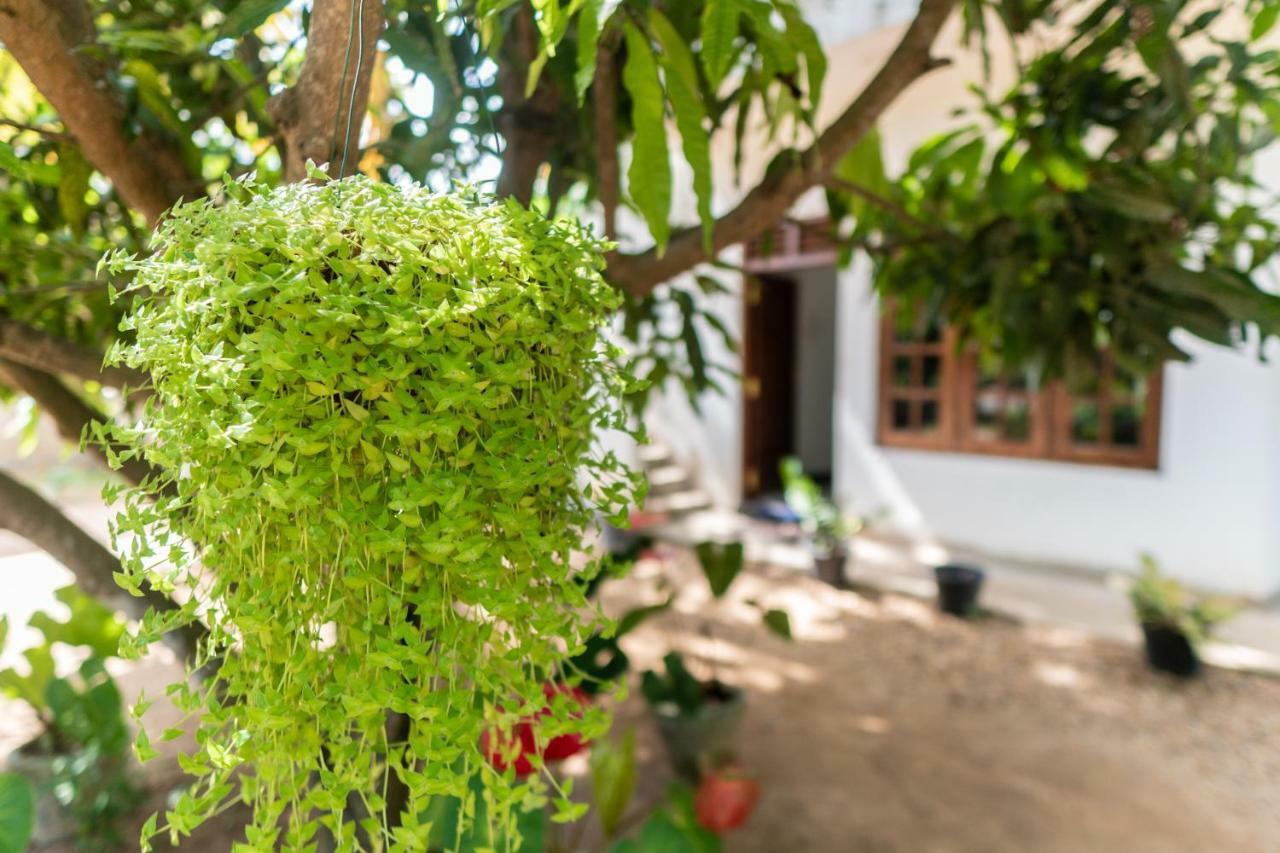 Mango Shade Weligama Apartment Bagian luar foto