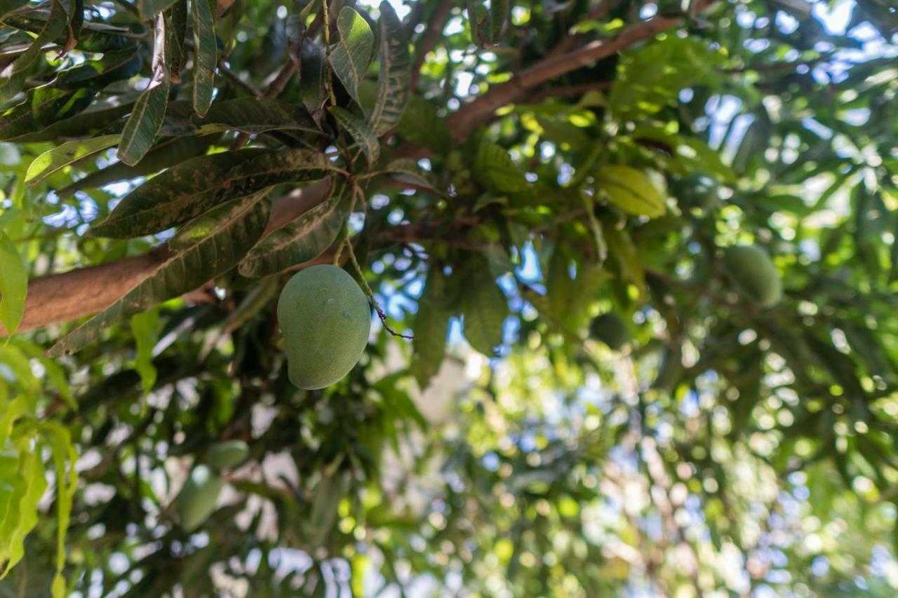 Mango Shade Weligama Apartment Bagian luar foto